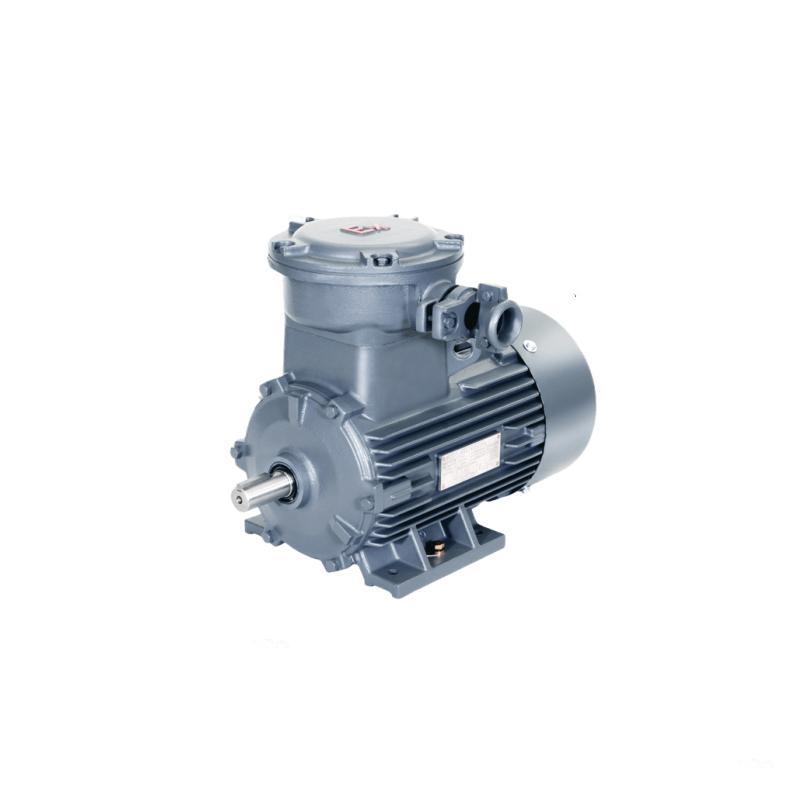 1MT0003 gas explosion-proof motor