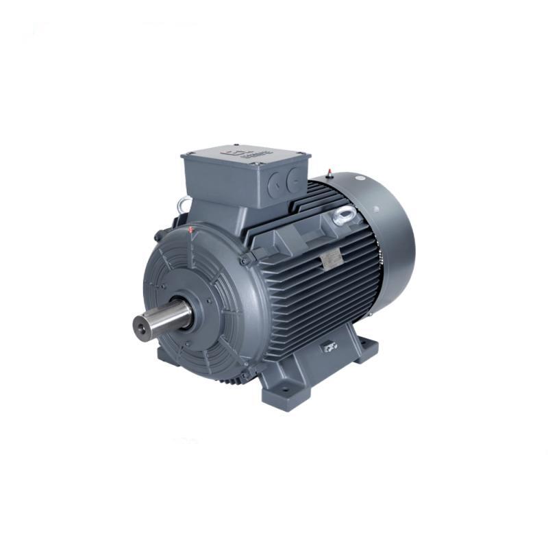 1MT0013 Dust Explosion proof Motor