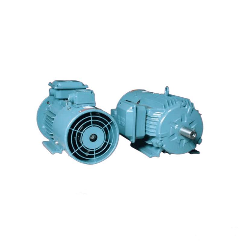 QABP frequency conversion dedicated motor