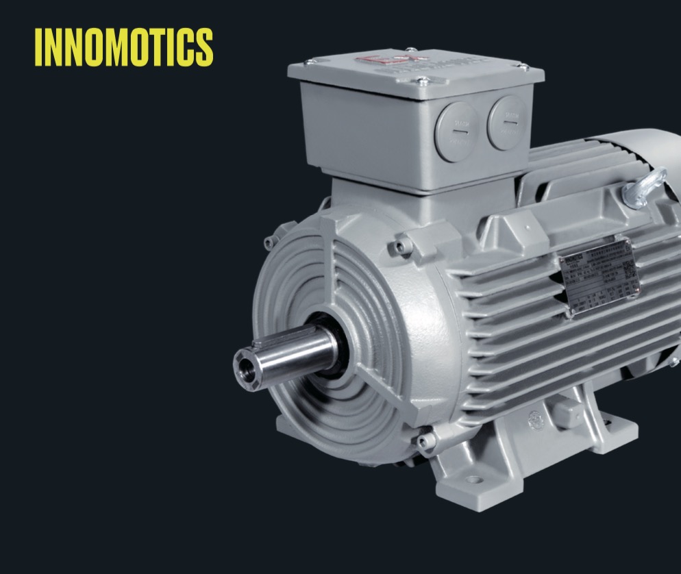 IE3 Energy Efficiency Low Voltage Dust Explosion proof Motor 1MB0013
