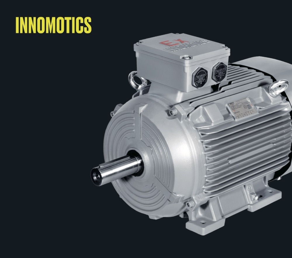 1MB8014 series low-voltage dust explosion-proof motor