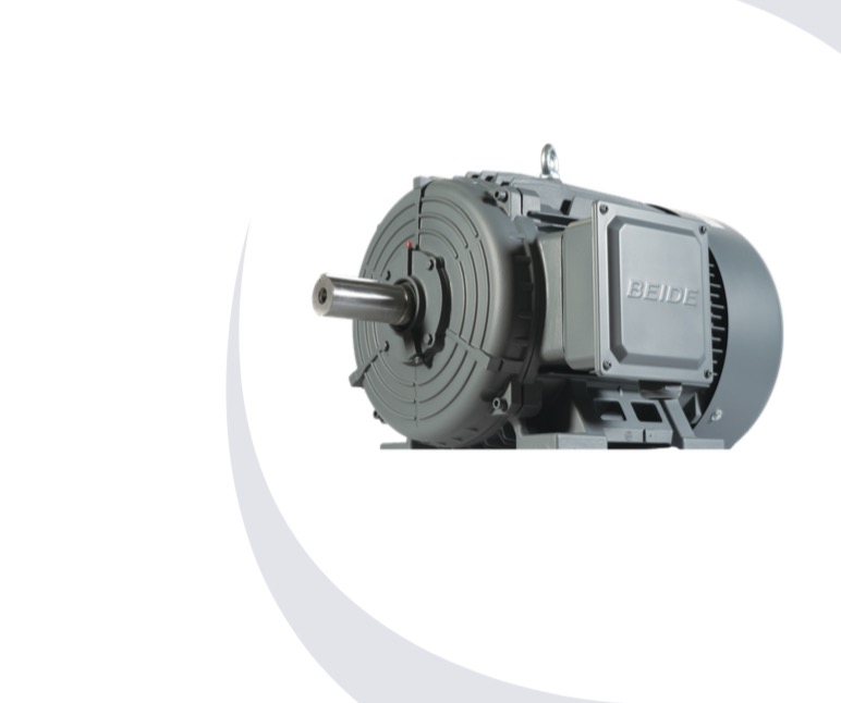 1TL8005 Level 1 Energy Efficiency Cast Iron Series Low Voltage Three Phase Asynchronous Motor