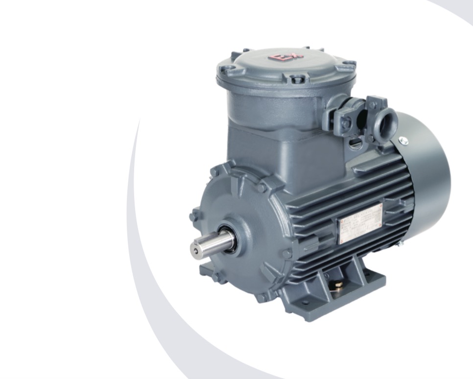 1MT0003 Explosion proof Three phase Asynchronous Motor | Yinmengdabeide Motor