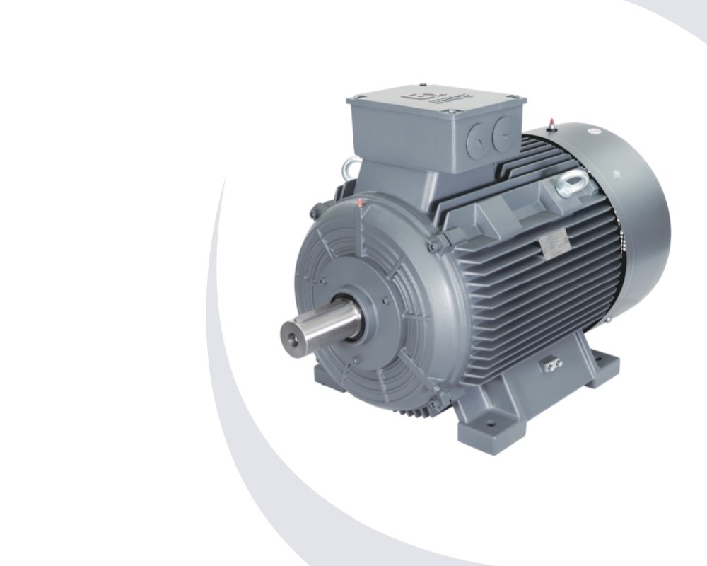 1MT0013 series dust explosion-proof low-voltage three-phase asynchronous motor