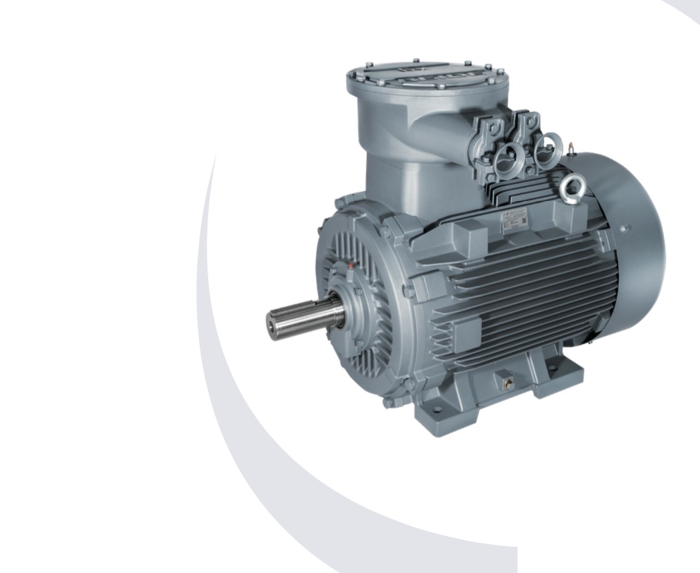 1MT8004/1MT8005 Explosion proof Three phase Asynchronous Motor
