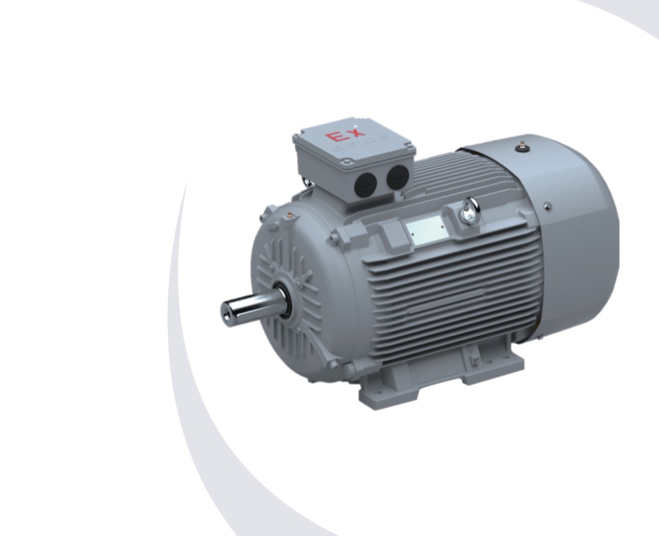 1MT8014 series low-voltage dust explosion-proof motor