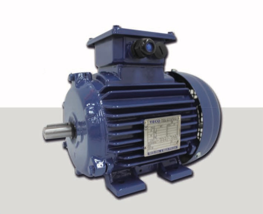 Dongyuan Electric IE3 and IE4 Efficiency N Series Three Phase Asynchronous Motors | TECO Motors