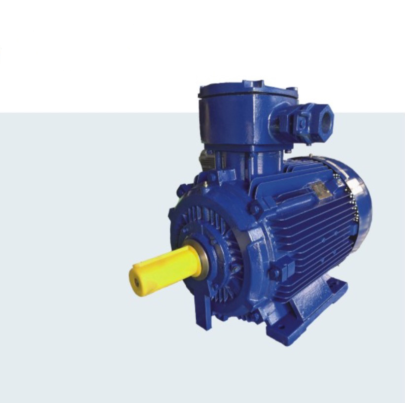 Dongyuan Explosion proof Electric Motor