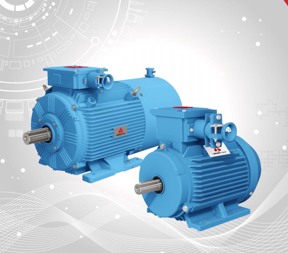 TYFB5 series dust explosion-proof variable frequency speed control permanent magnet synchronous motor