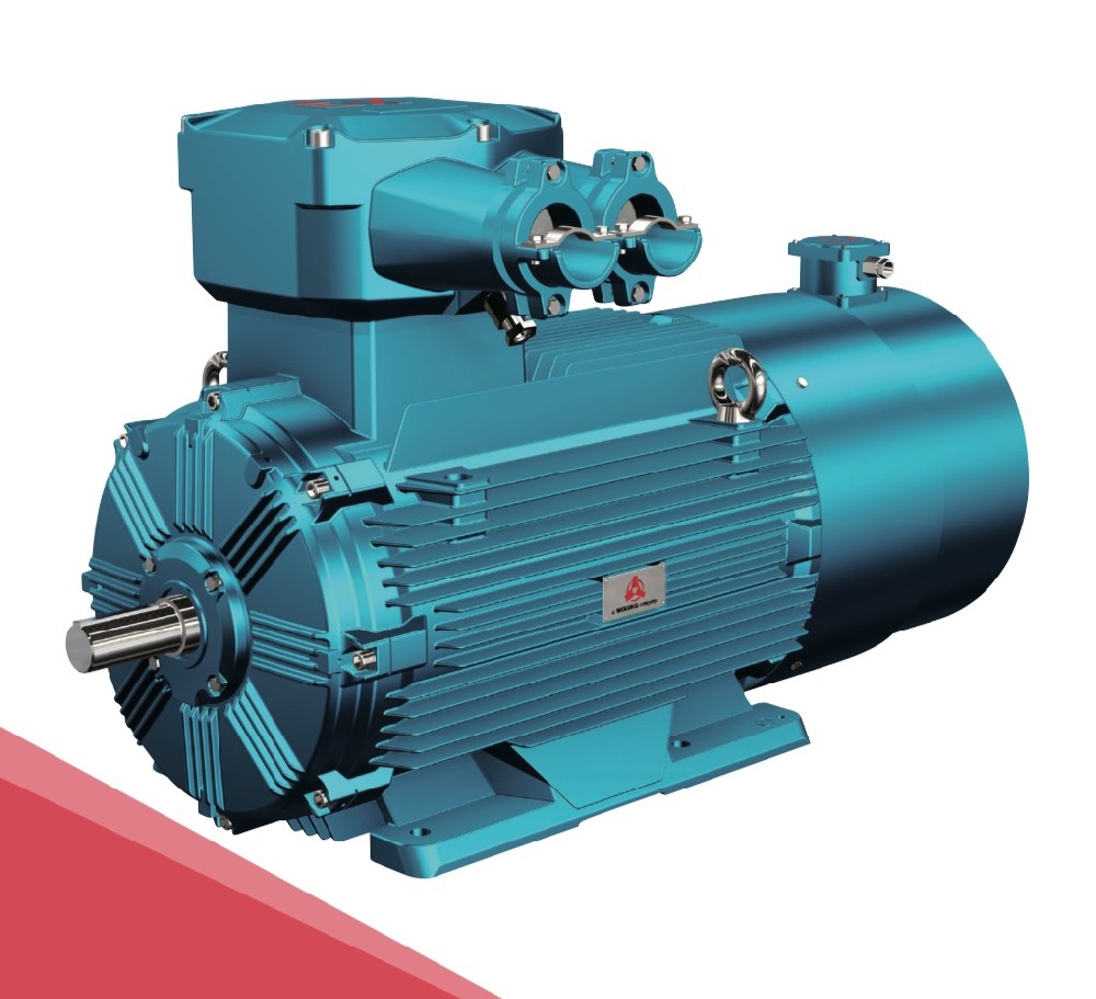New generation YBBP series explosion-proof variable frequency speed regulation three-phase asynchronous motor (center height 80~355)