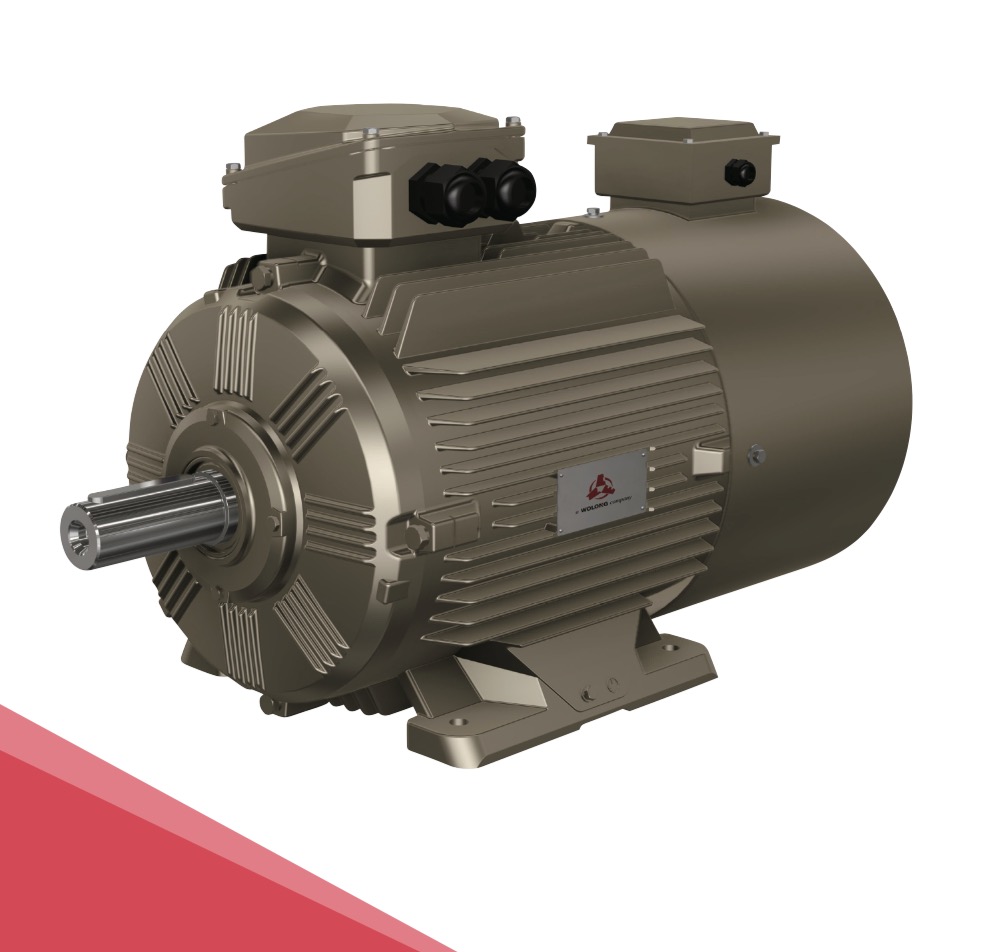 WEBP series variable frequency speed regulation three-phase asynchronous motor (center height 80~355)